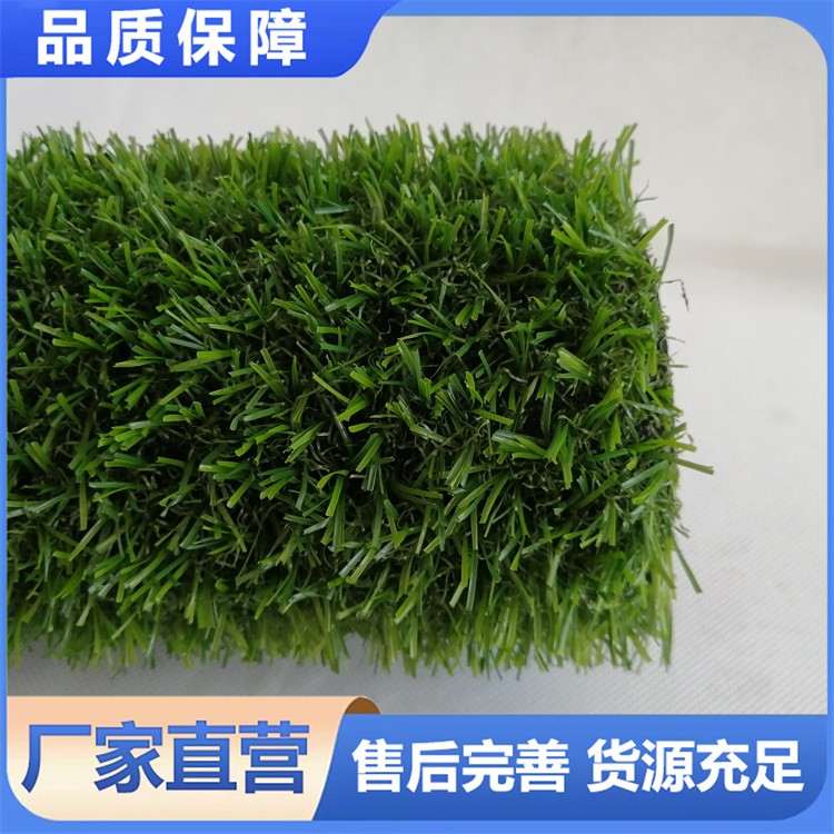 景观围挡草坪 四季常绿 立体效果佳 人造草皮美化庭院空间