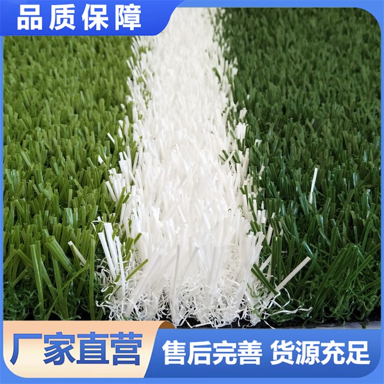 新国标足球场人造草坪 耐磨耐踢 专业运动草皮 免填充 快速发货