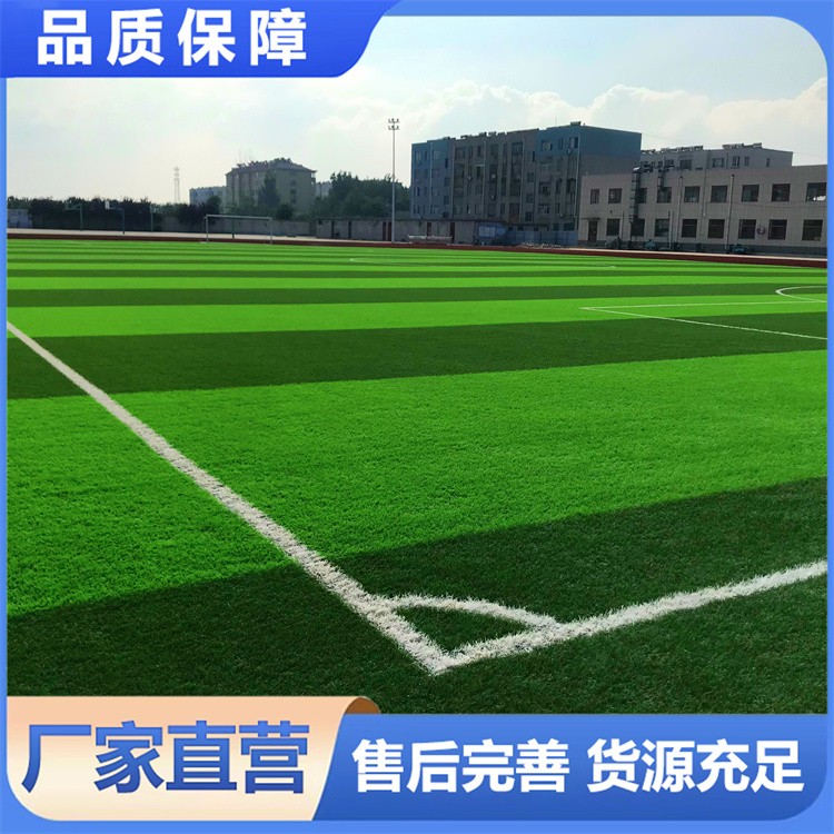 户外足球场免填充草皮学校体育馆足球场草坪仿真操场假草坪