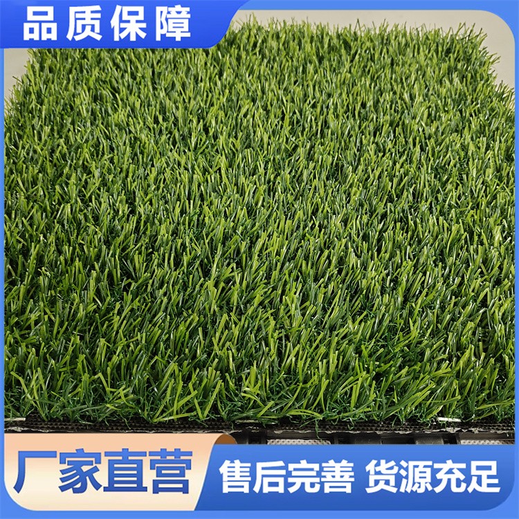 庭院景观拼接草坪 密植柔软 免胶水 轻松 DIY 打造专属绿意空间