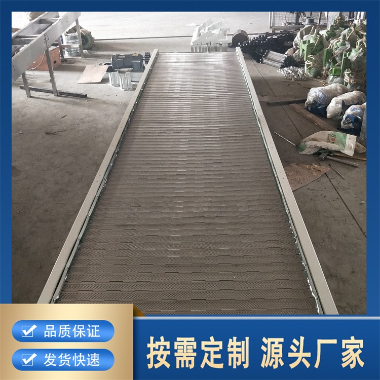 链板提升机供应 充足货源 厂家批发