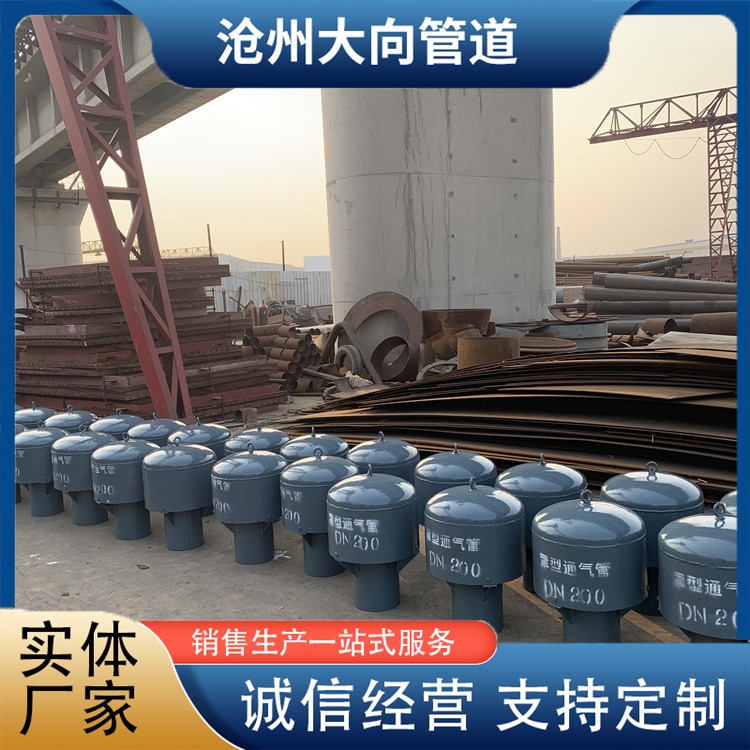 沧州大向管道   罩型通气管厂家供应