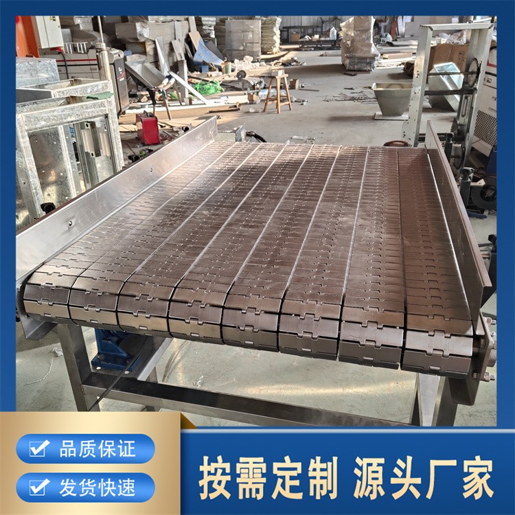 链板提升机经久耐用 专业保障 厂家供应