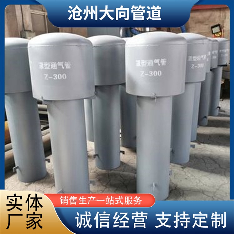 沧州大向管道  罩型通气管 规格齐全