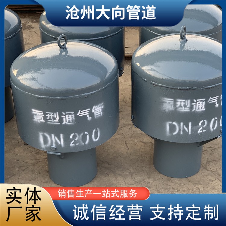 沧州大向管道   罩型通气管厂家供货