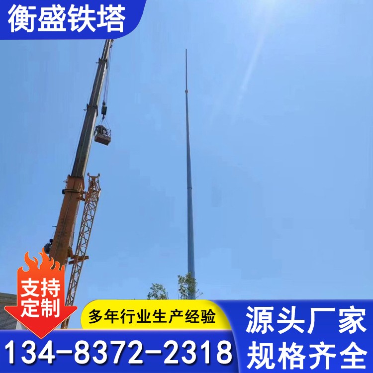 避雷塔架 圆钢避雷塔厂家 钢管避雷针 热镀锌塔 支持定制