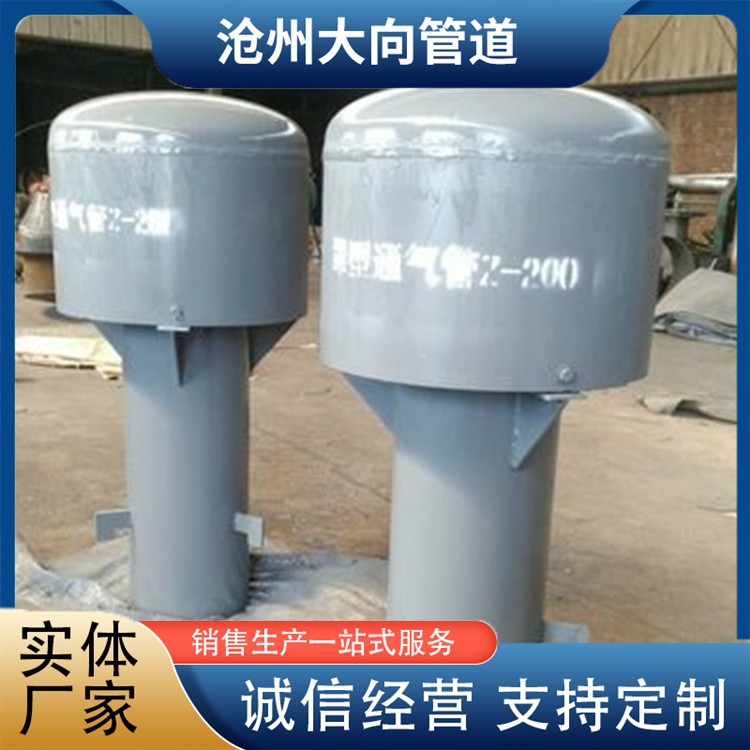 沧州大向管道   罩型通气管发货及时