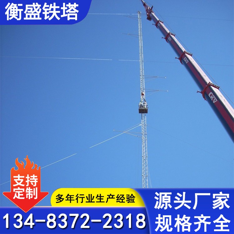 视频监控塔架 海上观测测风塔 森林防火无人监控平台 安全稳定