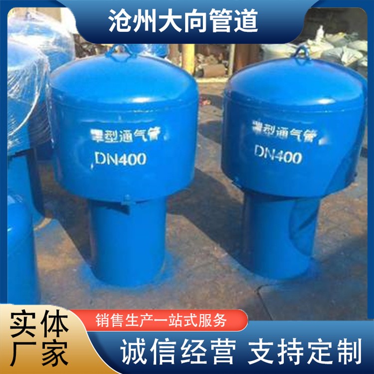沧州大向管道   罩型通气管来电咨询