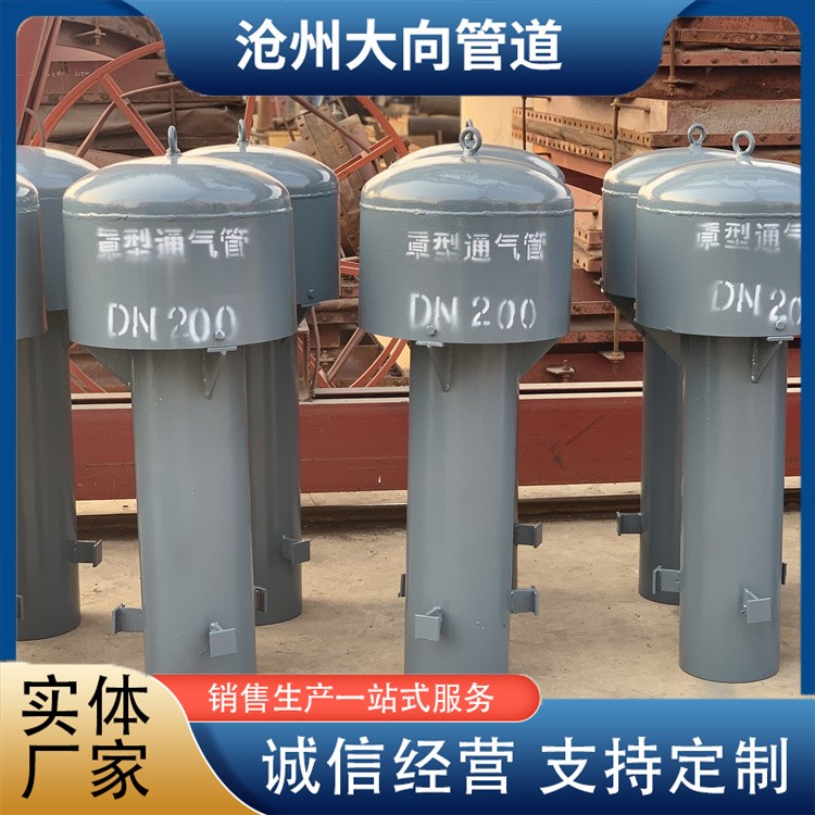 沧州大向管道   罩型通气管生产厂家