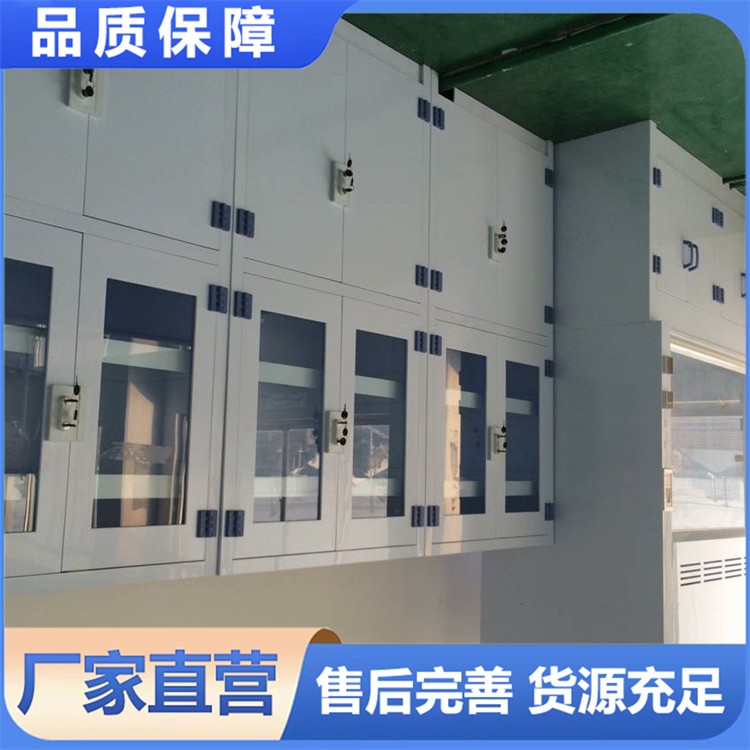 PP药品柜   耐酸碱实验室柜 样品存储柜可选