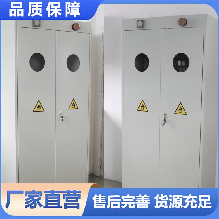 全钢气瓶柜 工业防火防爆柜 易燃易爆液存放 厂家发货