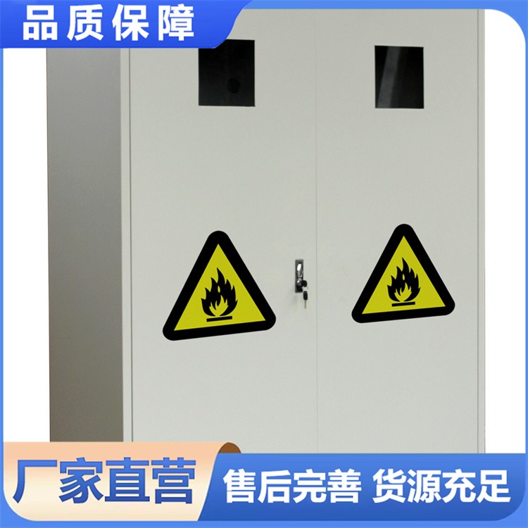 全钢气瓶柜 实验室防爆柜液化煤气柜易燃危化气体储存柜