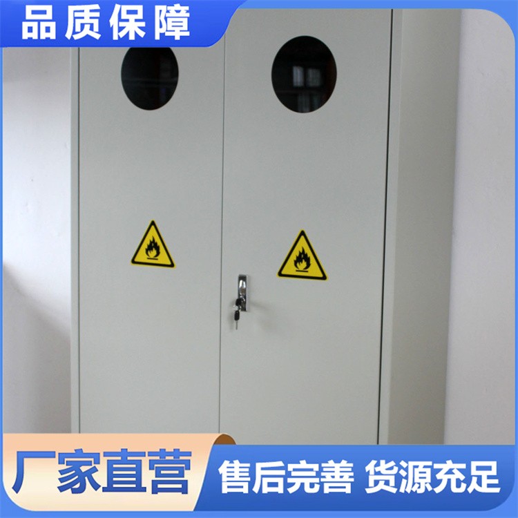 全钢气瓶柜 柜加厚单瓶双瓶三瓶智能探测危险气瓶柜