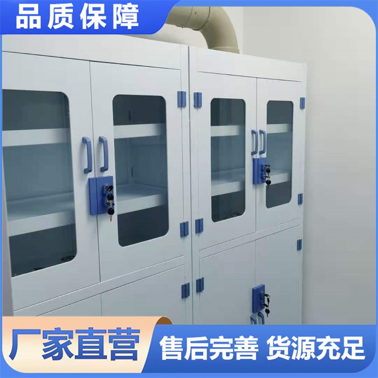 PP药品柜 实验室试剂柜双锁防腐蚀器强酸碱储存柜