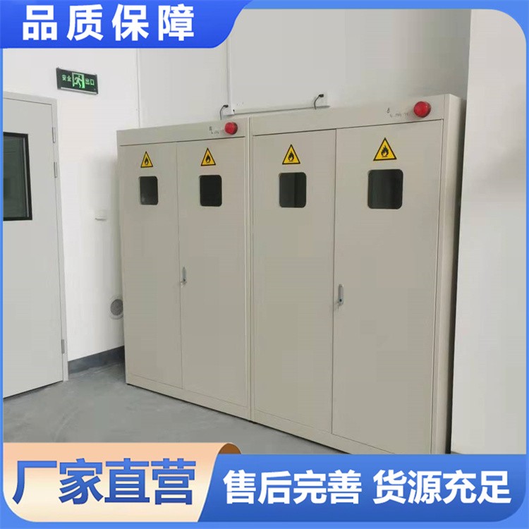全钢气瓶柜 实验室安全柜 气体固定架钢瓶储存柜子