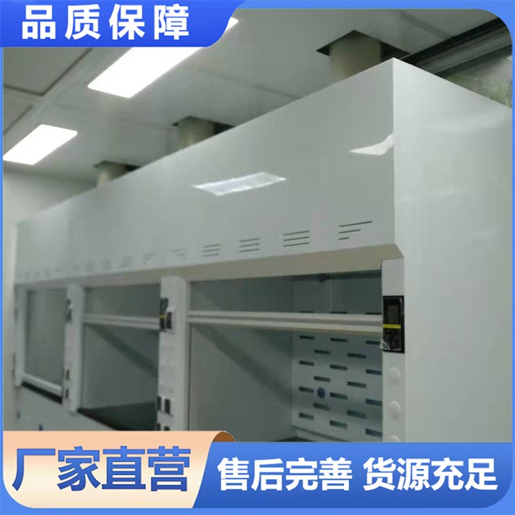 PP通风柜 橱耐腐排风柜 厂家支持定制材质可靠