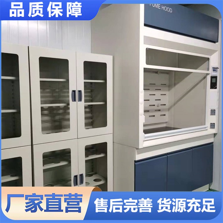 全钢器皿柜 多功能文件柜定制 实验室专用药品试剂柜