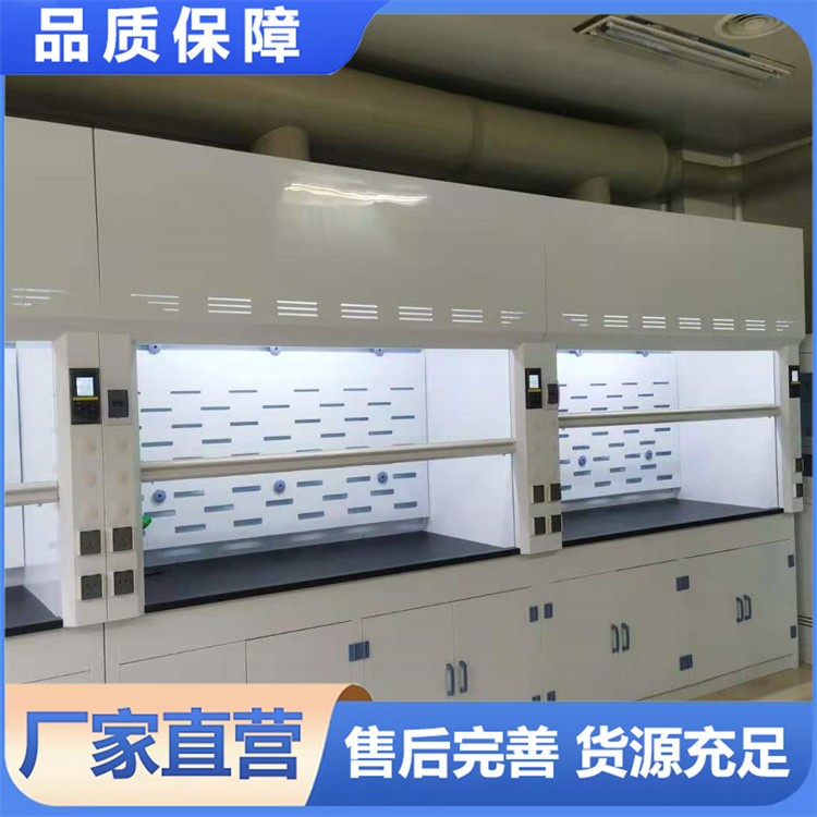 PP通风柜 药品柜通风 耐腐蚀抗老化耐用