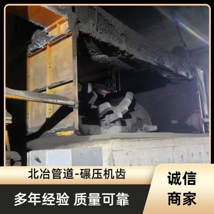 800皮带机内外齿套 DSJ1200