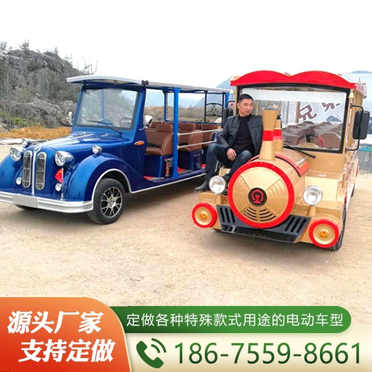 燃油观光车  性价比高 厂家定制