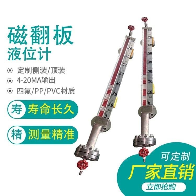 磁翻板液位计 磁性浮子液位测量计
