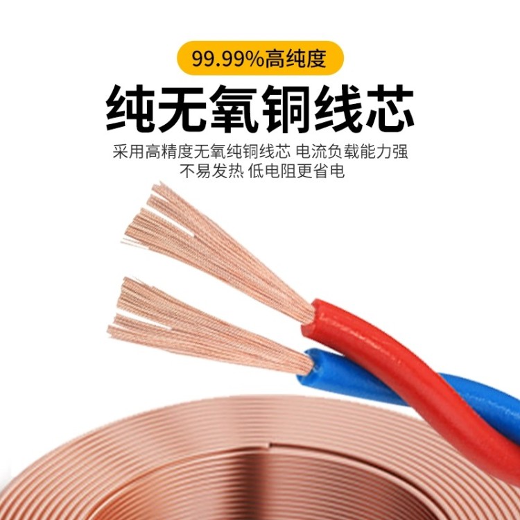 屏蔽双绞线 耐热性好 阻燃铠装屏蔽电线