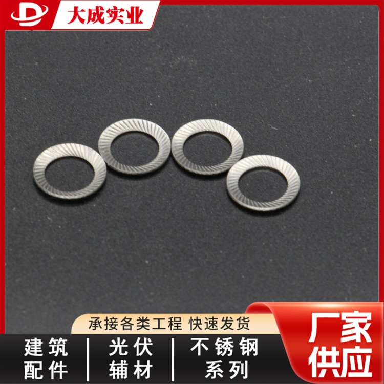 不锈钢防松垫产地货源 大成
