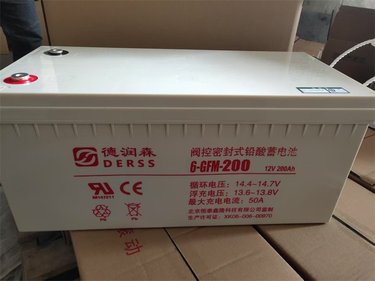 美国德润森蓄电池6GM-100德润森12V100AH原装正品