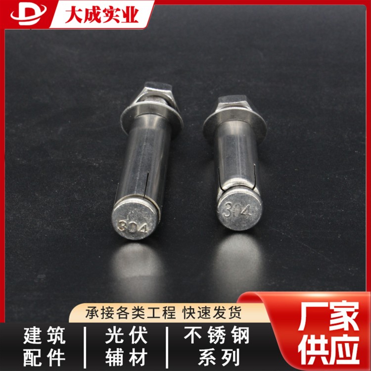 实力厂家不锈钢膨胀螺栓 大成实业