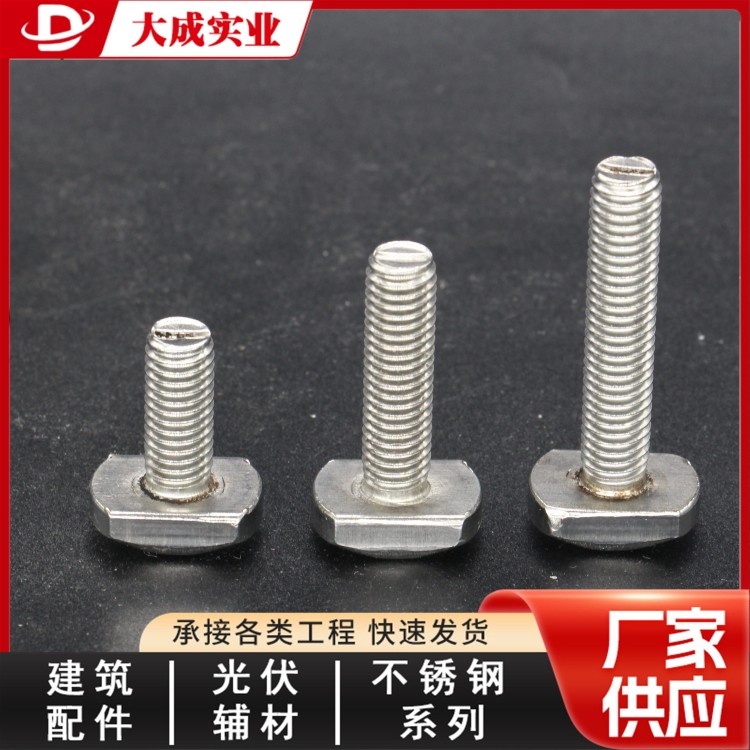 不锈钢T型螺栓源头加工厂 大成