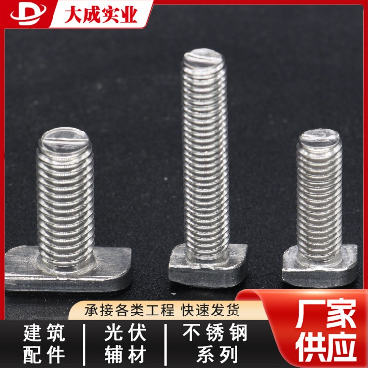 不锈钢T型螺栓预埋槽螺丝 大成
