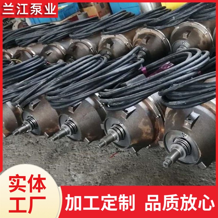 铸件式高速搅拌机 不锈钢 高速污水厂处理 节能耐腐蚀防沉淀 兰江泵业