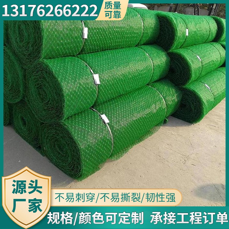 三维植被网护坡防止水土流失