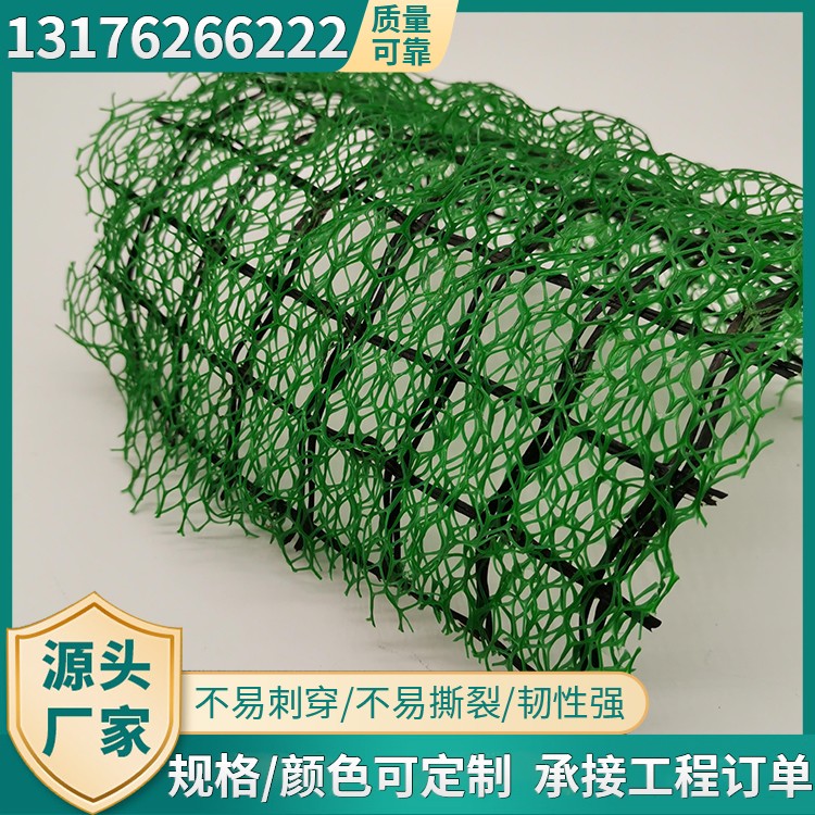 三维植被网PE固土护坡用