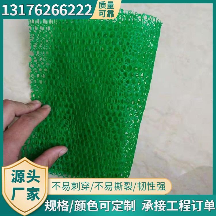 三维植被网河道植草护坡用