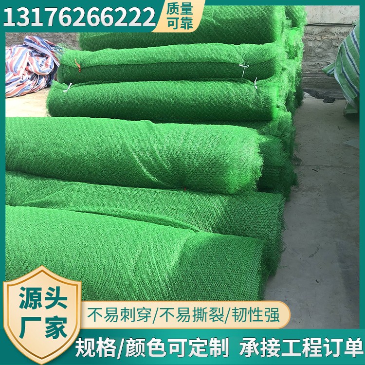 三维植被网现货植草固土护坡