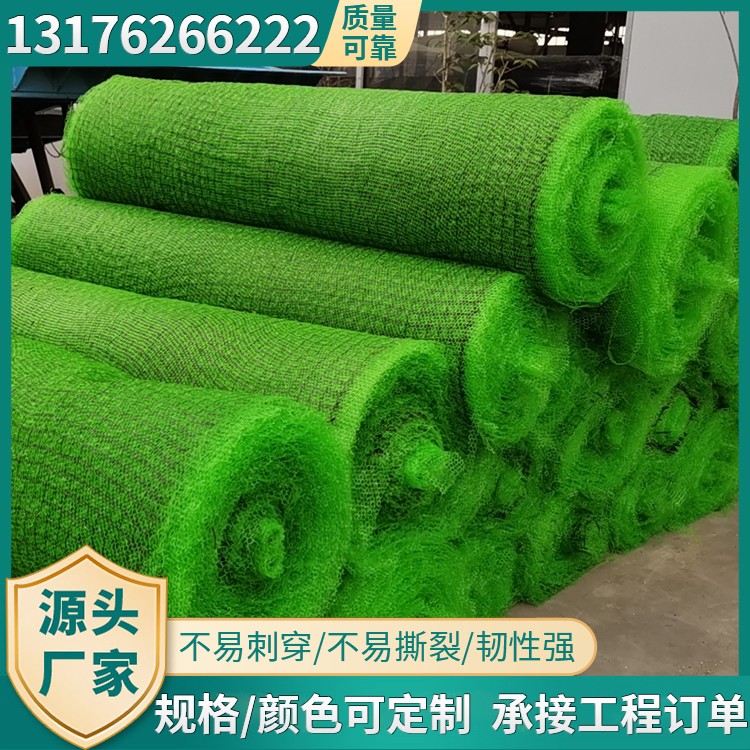 三维植被网绿色防尘网植草护坡