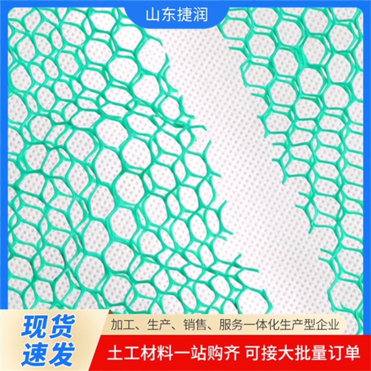 三维植被网 三维绿化土工网 绿色防尘网植草护坡固土绿化网厂家