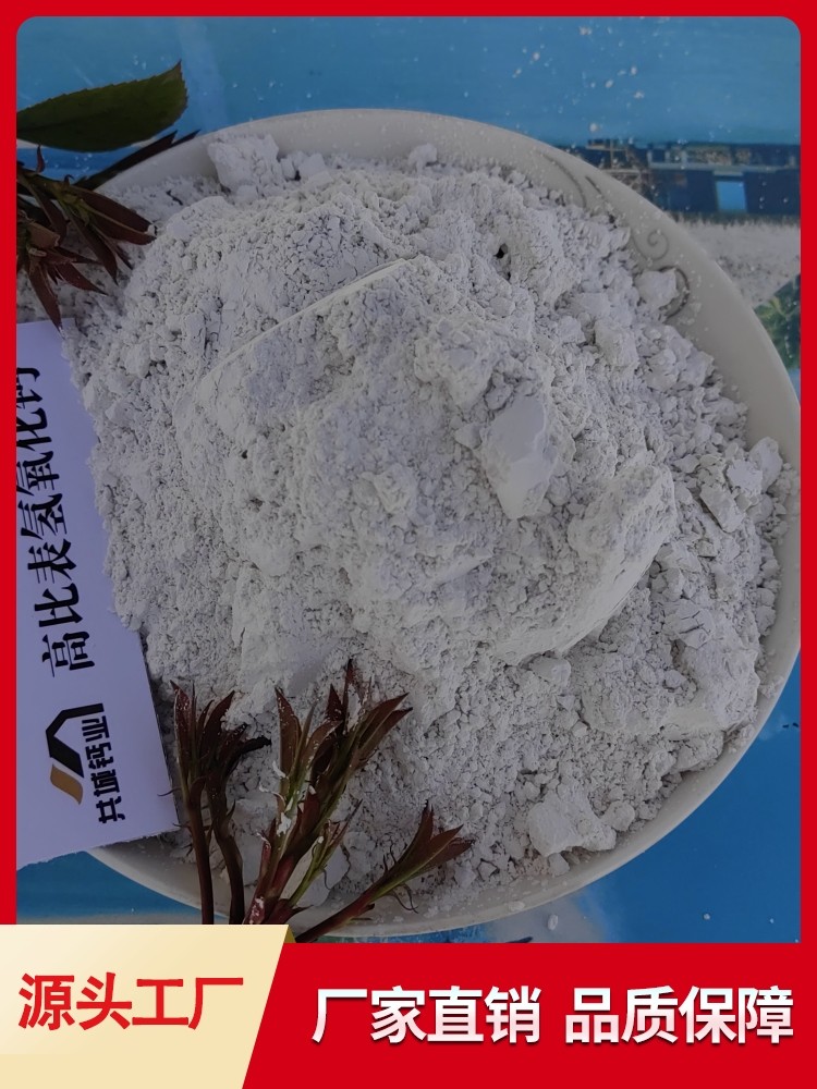 高比表面积氢氧化钙 厂家直销