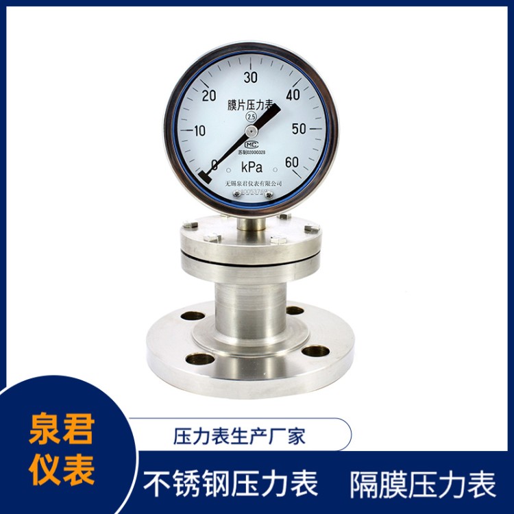 YPF-100-60kpa-膜片压力表 泉君仪表生产供应 工业设备 源头厂家