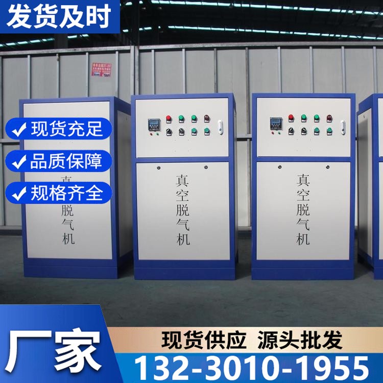 大型真空脱气机 大流量处理 满足工业级管道气体净化需求