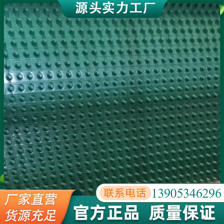 排水板凹凸塑料蓄水板抗老化