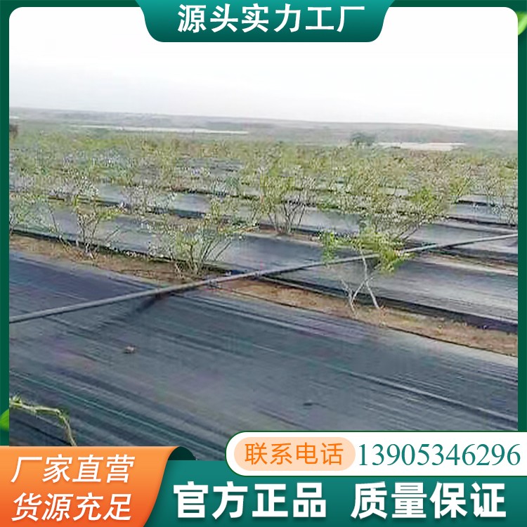 防草布大棚抑草布 防止杂草生长