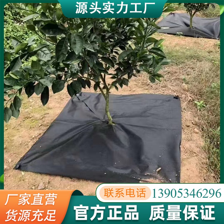 果园防草布打孔切片防草园艺