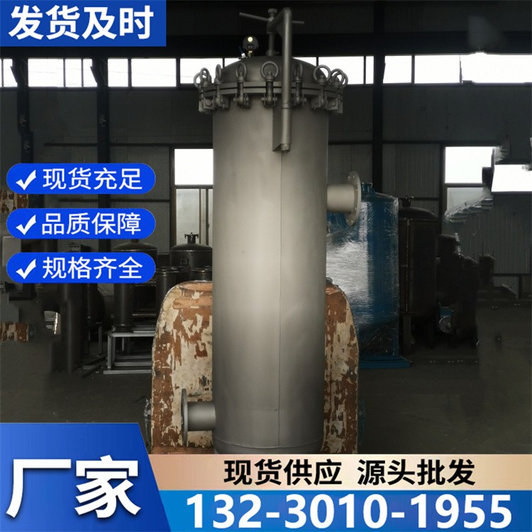 大流量精密过滤器 多滤芯组合 满足工业连续过滤需求