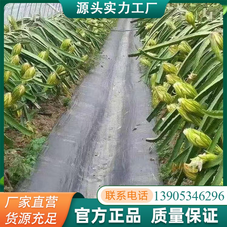 防草布大棚蔬菜园艺用 透水透气 耐腐蚀 抗老化