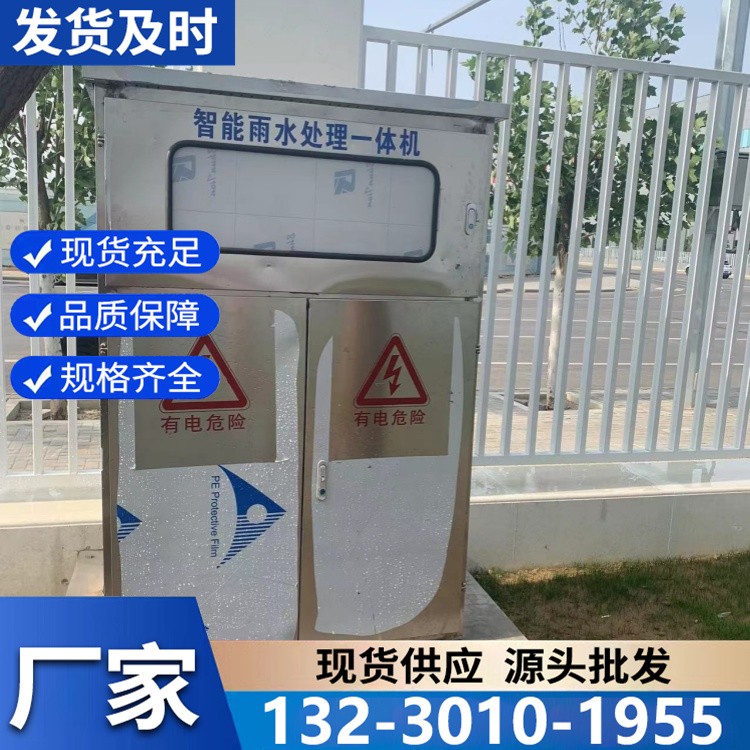 快装式智能雨水一体机 集成化结构 小型项目快速部署见效快