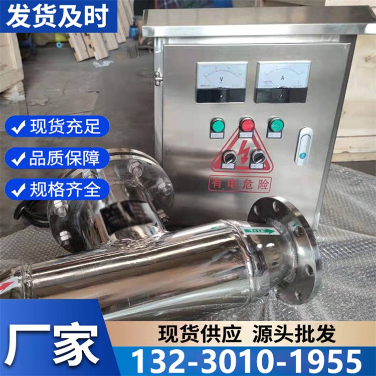 银离子消毒器现货直供 高效杀菌抑菌 保障用水安全健康