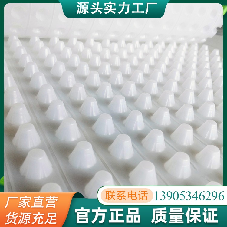 排水板一平方也是批发价